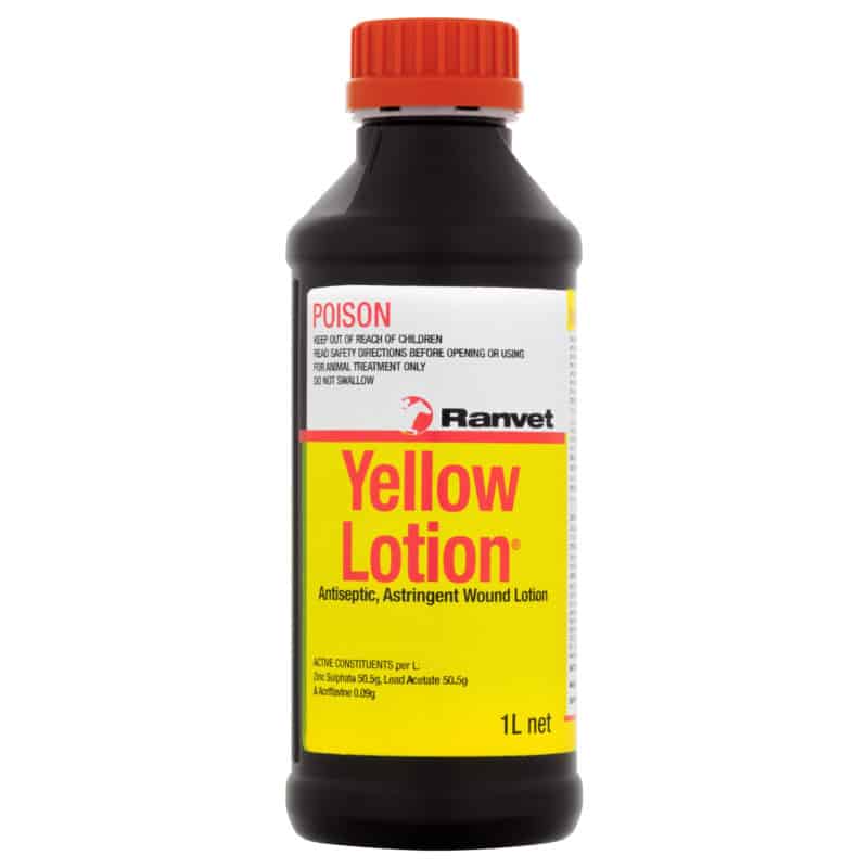 Yellow Lotion