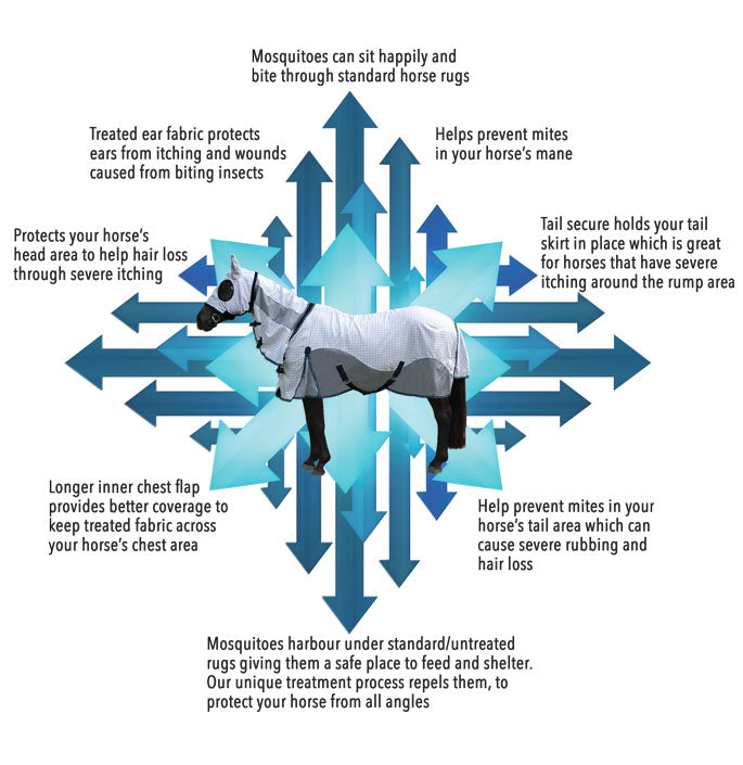 Wild Horse - Duo Hood.