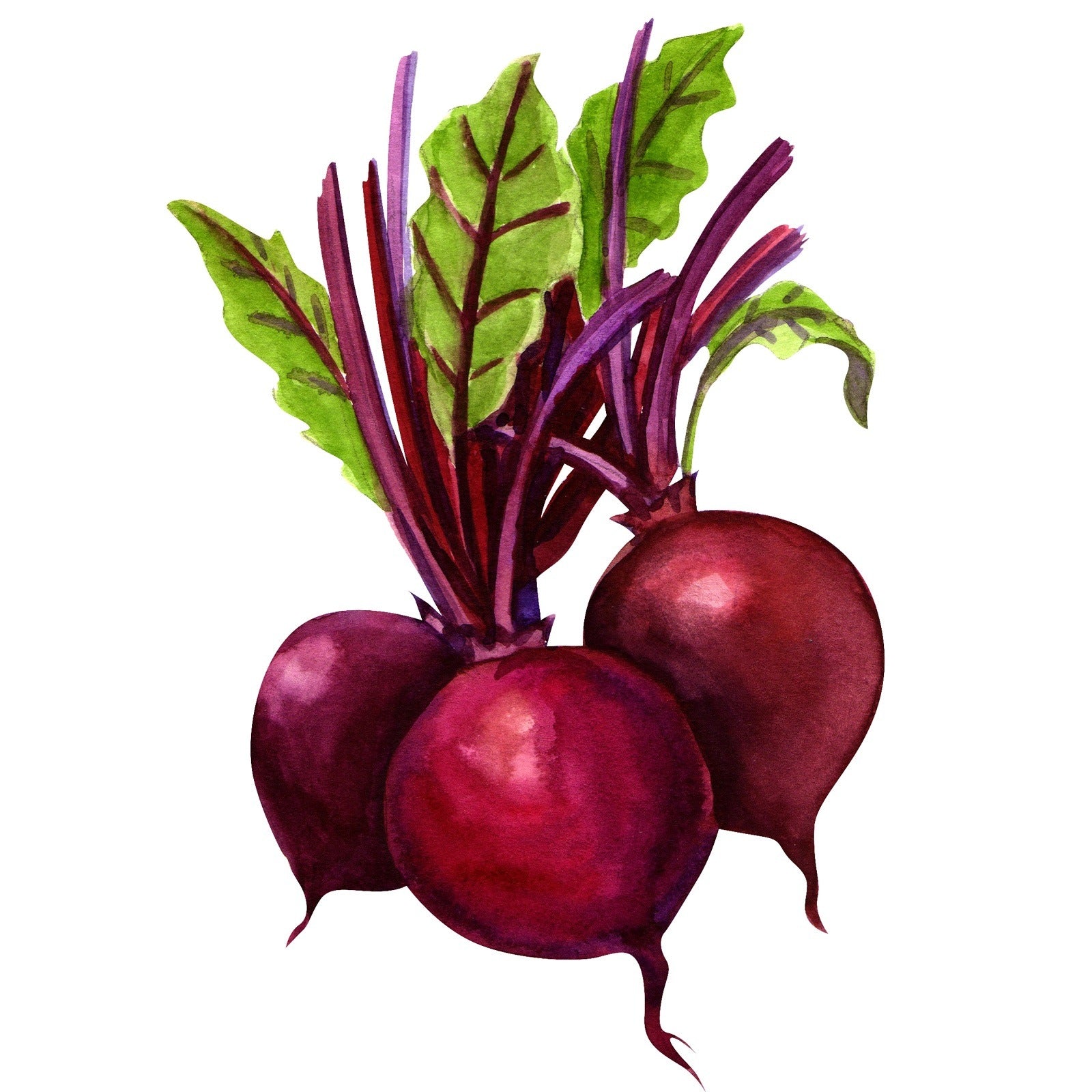 BEETROOT POWDER
