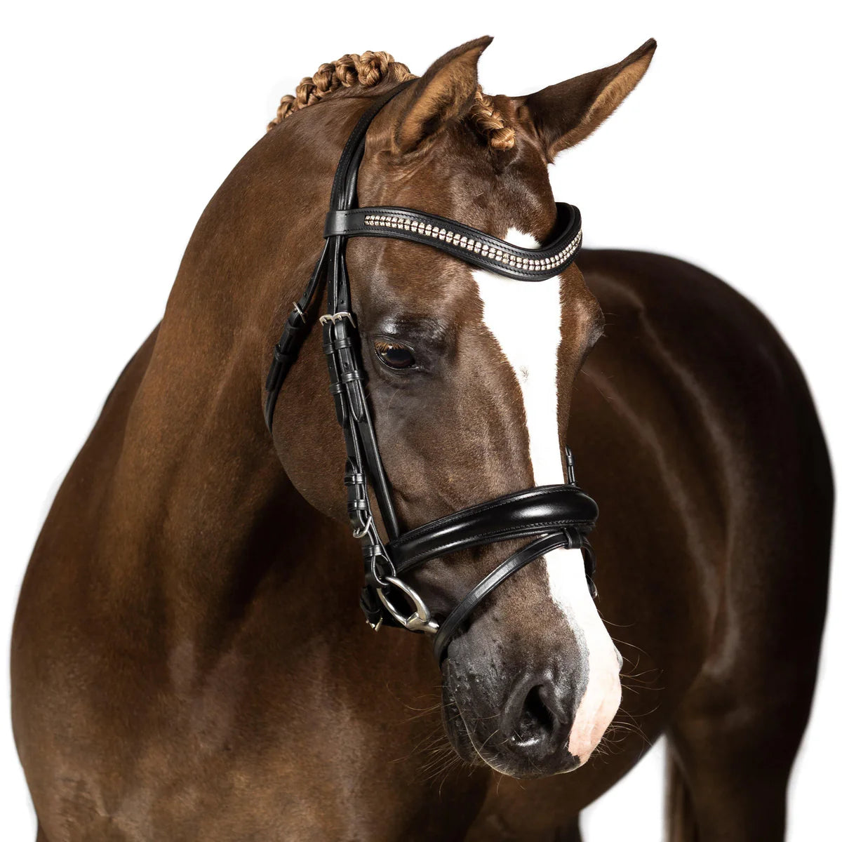 SNAFFLE PARADISE BRIDLE