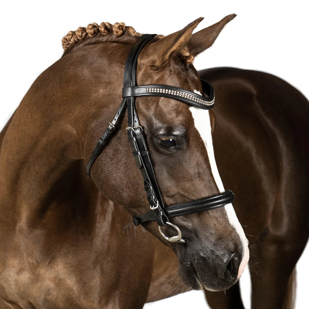 SNAFFLE BRIDLE VORTEX