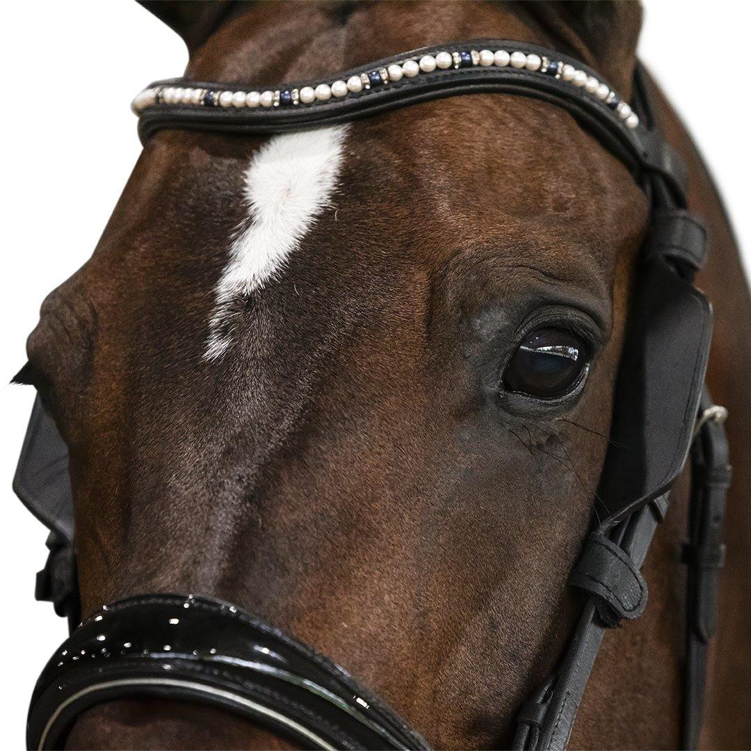 Flexible Fit - Blinkers.