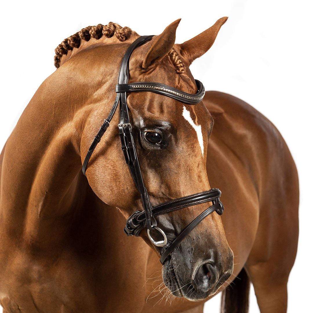 Flexible Fit - Havana Gel Snaffle Bridle w Raised Wave Browband