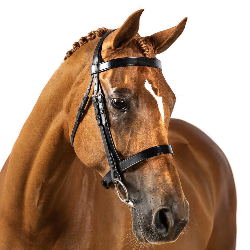 Flexible Fit Show Bridle Gel