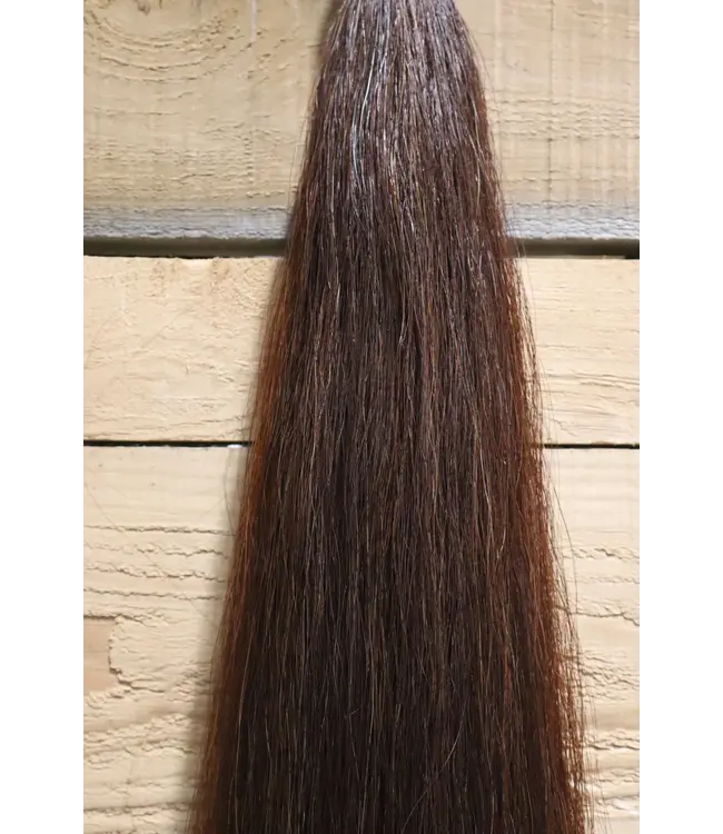 Champion Tails Double Full Length