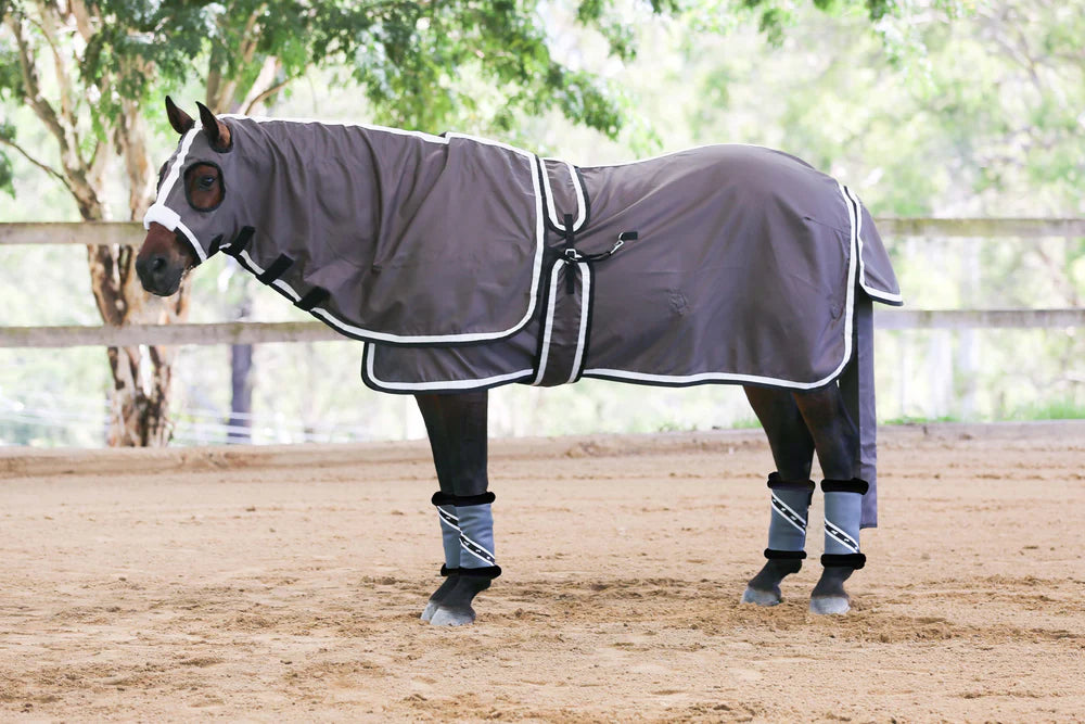 Gala Equine - Show Set with Surcingle