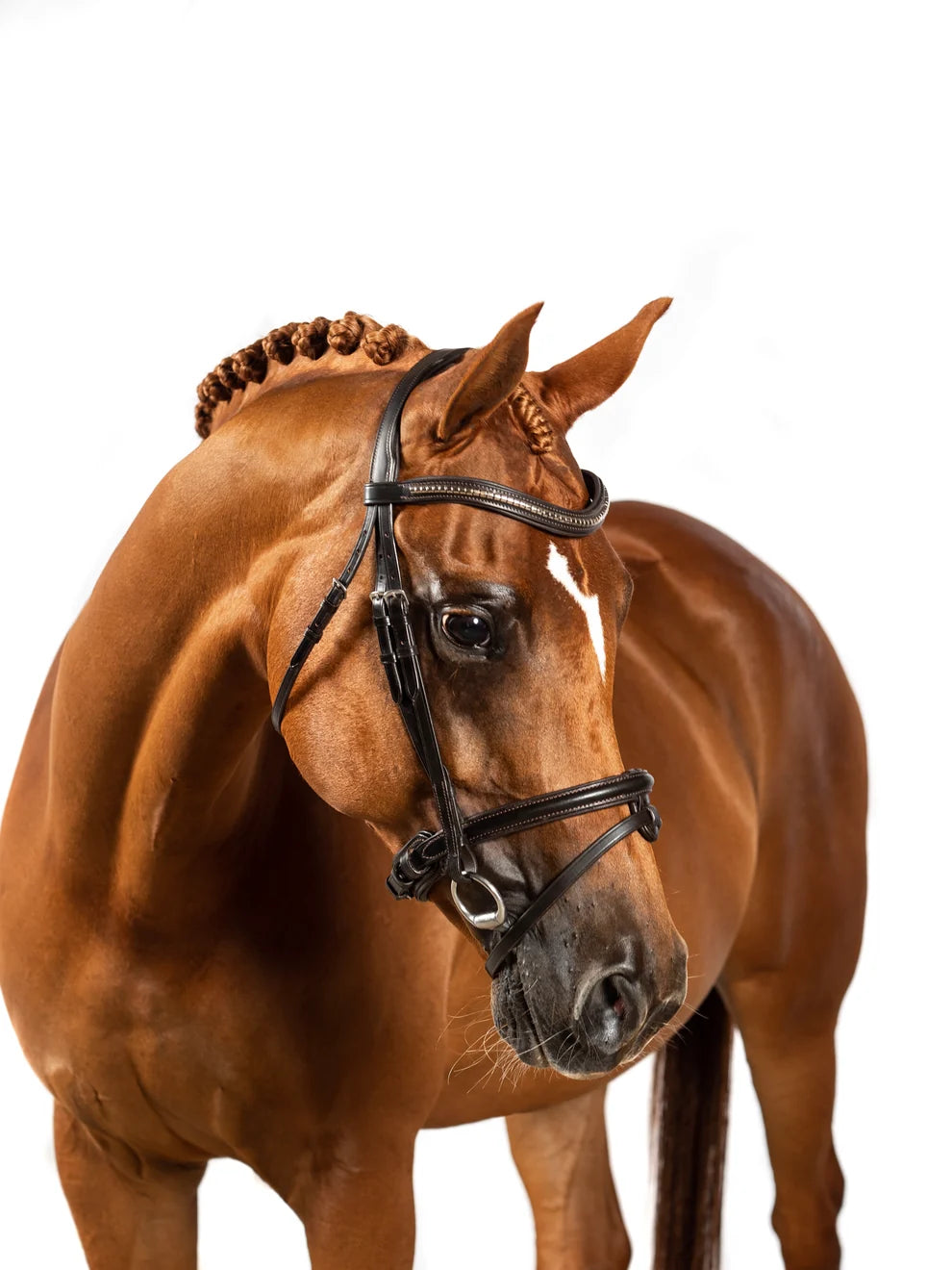 CLINCHER WAVE SNAFFLE BRIDLE