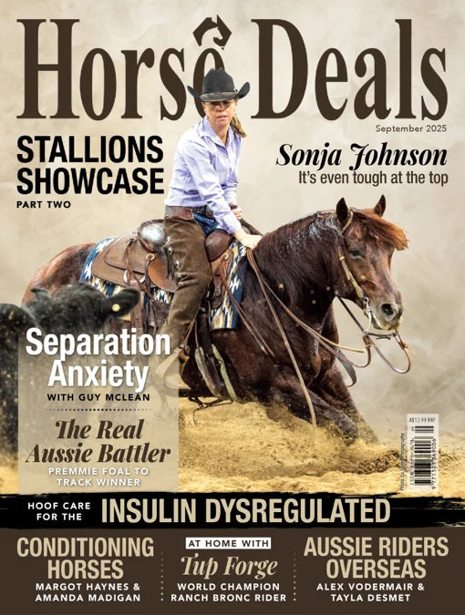 Horse Deals September 2025