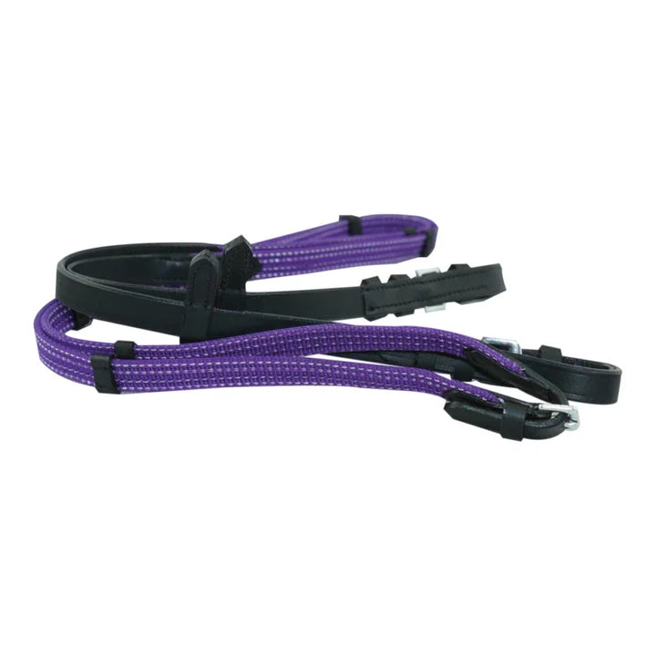 Kids Sparkle Reins.