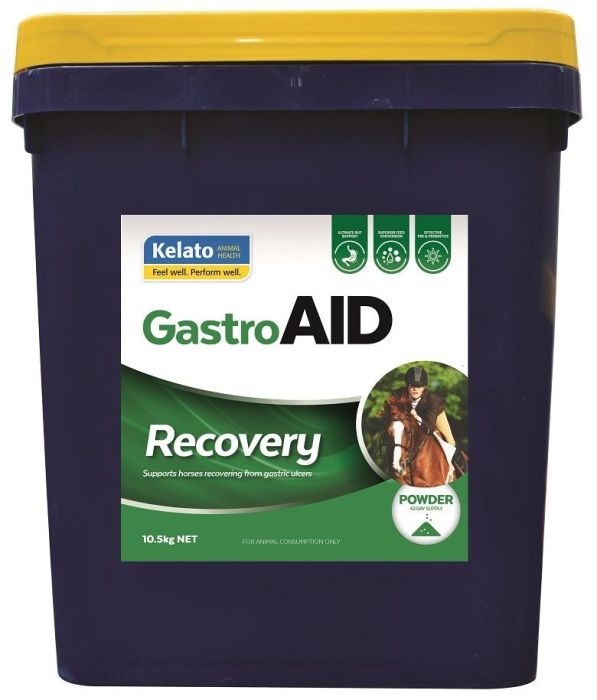 Gastroaid Digestive Powder