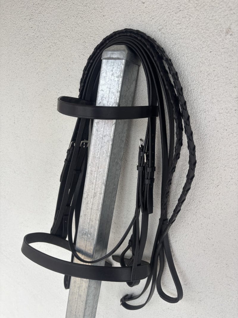 Eurohunter Show Weymouth Bridle