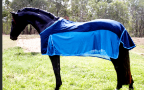 Earlwood Mesh Show Rug