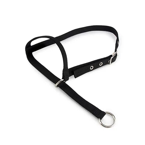 HALTER LEADING CALF