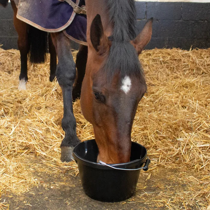RED GORILLA PLAS FEED BUCKET