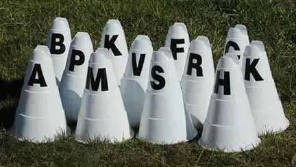 Large Printed Cones