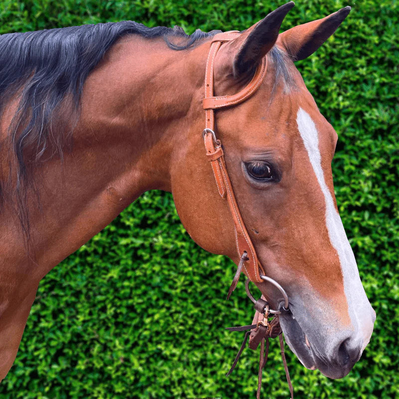 Ezy Ride Bridle One Ear Stitched with Raised Leather