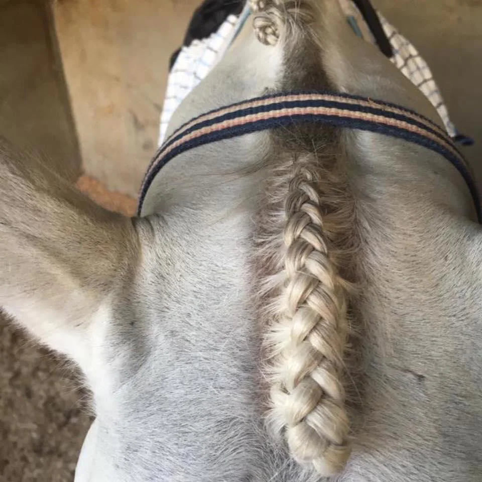 Hairy Pony - Fastening Scissors
