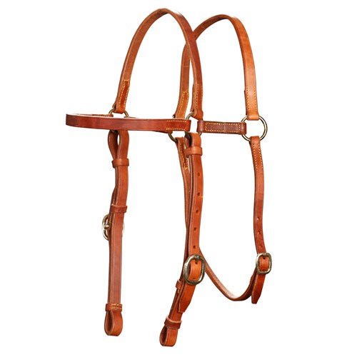 Fort Worth Ex/Barcoo Bridle Head