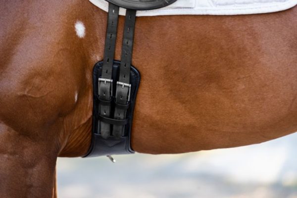 Cavalier Leather Elastic Two Buckle Girth