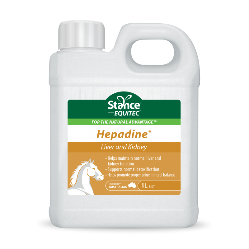 STANCE HEPADINE