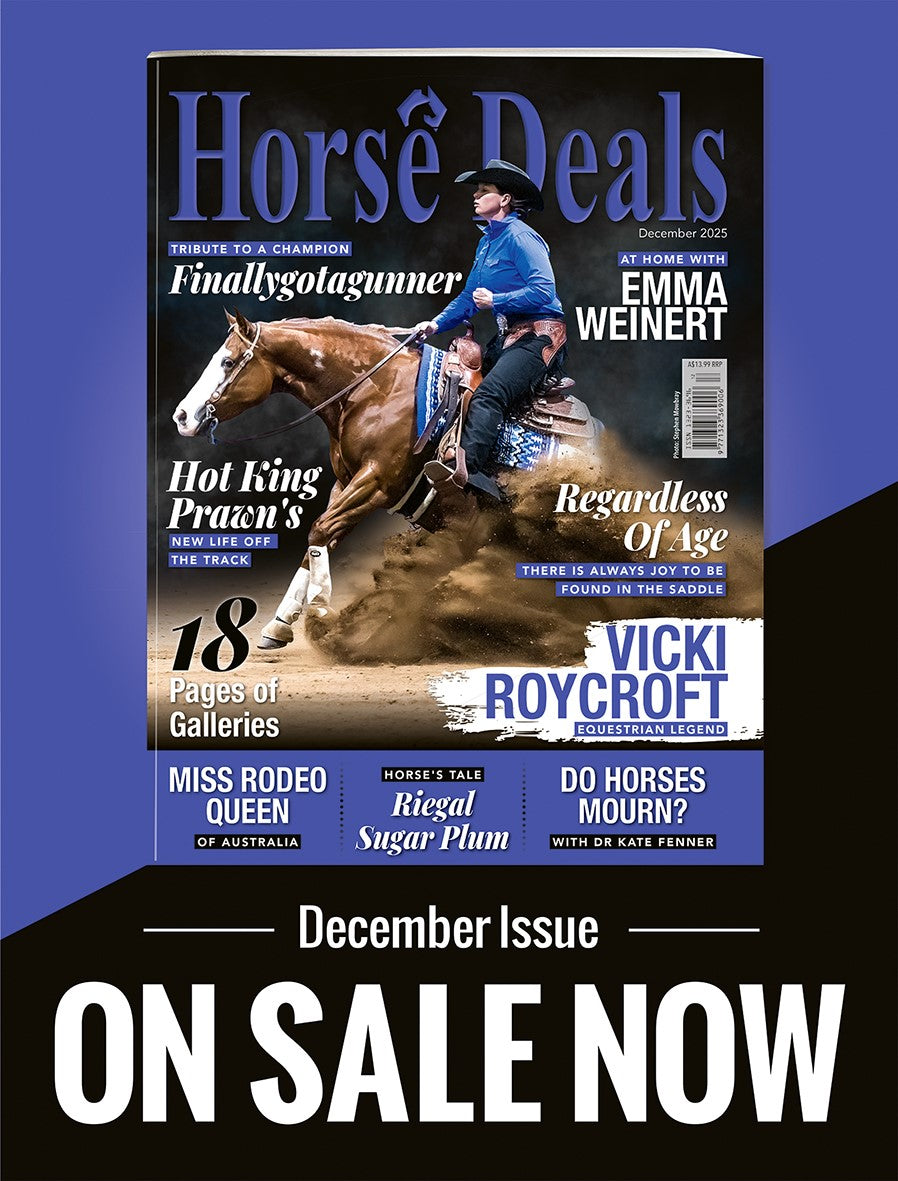 Horse Deals - December
