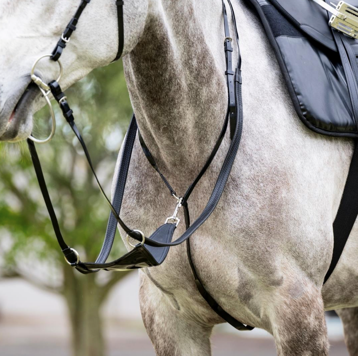 EquestPRO PVC Bib Martingale