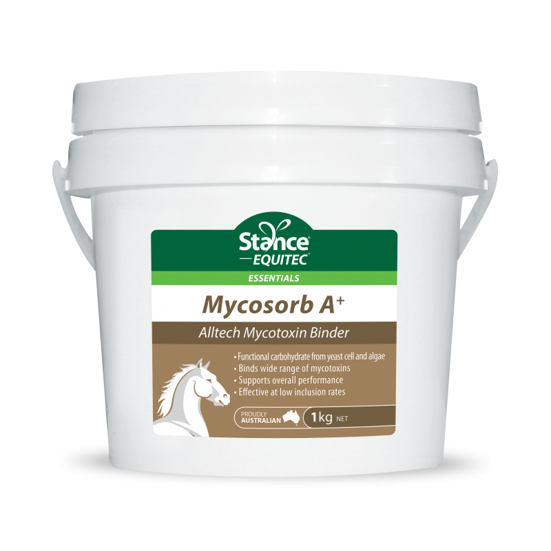 Stance Eseentials Mycosorb A+