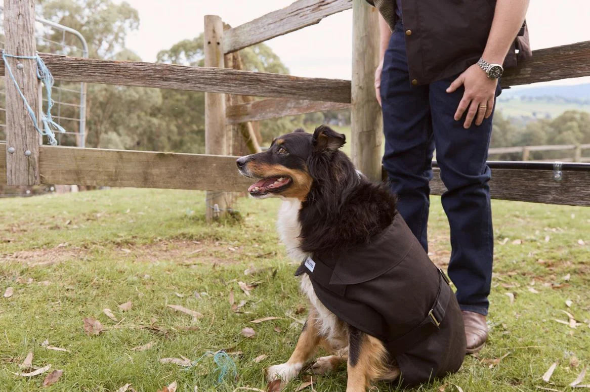 Nullarbor - Oilskin Dog Coat w Fur