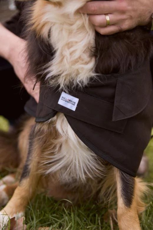 Nullarbor - Oilskin Dog Coat w Fur
