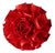 Lapel Pin- Carnation