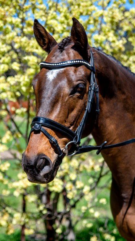 Flexible Fit - Comfy Bridle Patent Crystal Wave.