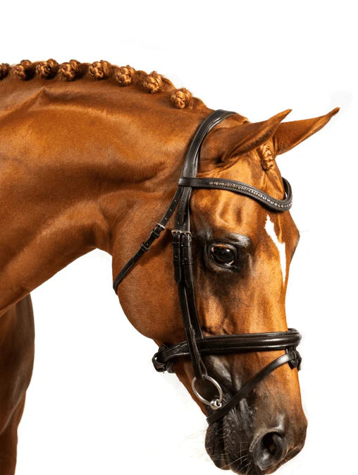 PREMIUM ALLURE SNAFFLE BRIDLE