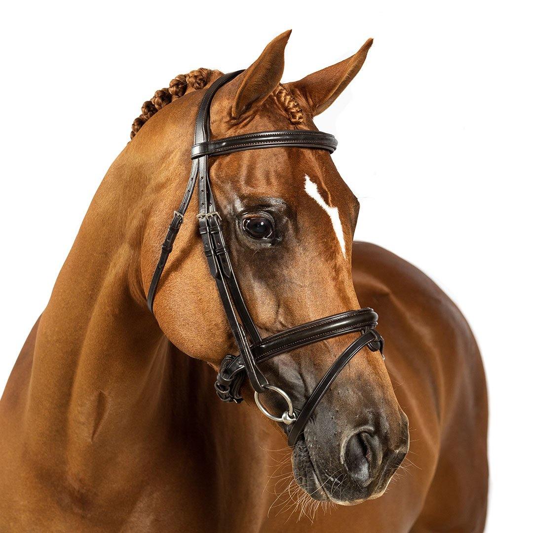 Flexible Fit - Premium Snaffle Bridle Enchanted.