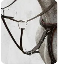 Cavalier Breastplate Attachment