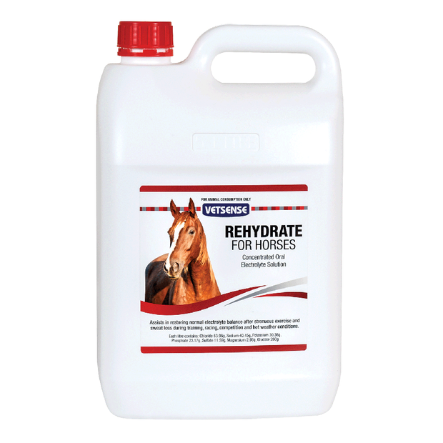 VETSENSE REHYDRATE HORSE