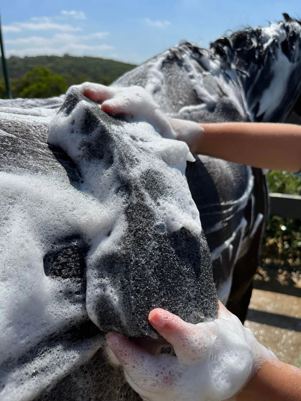 Hairy Pony - Compressed Scrubbing Sponge