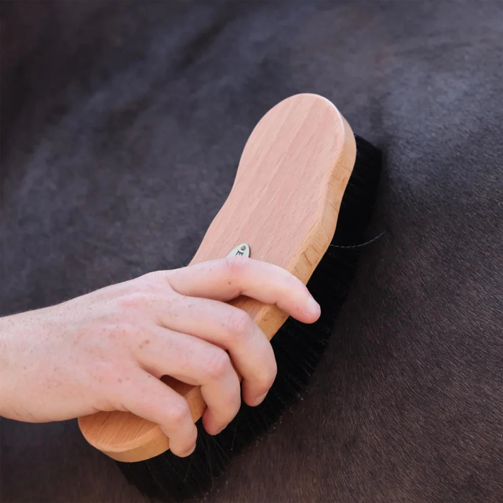 Shires EZI-GROOM Premium Dandy Brush Wood