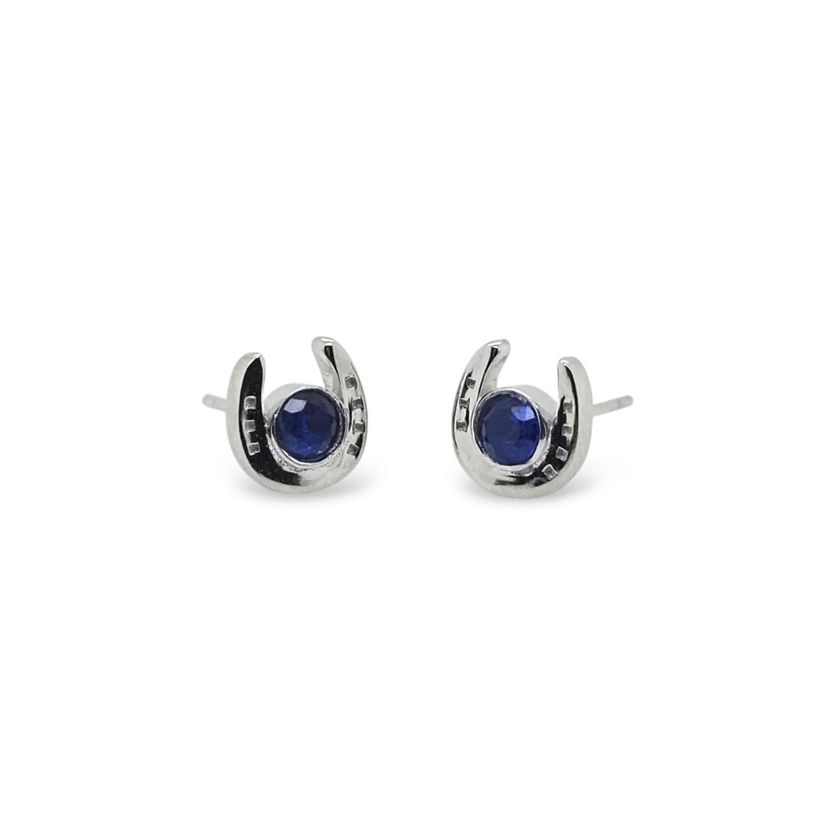 Mountain Creek Jewellery - Studs S/S & DB CZ Horseshoe