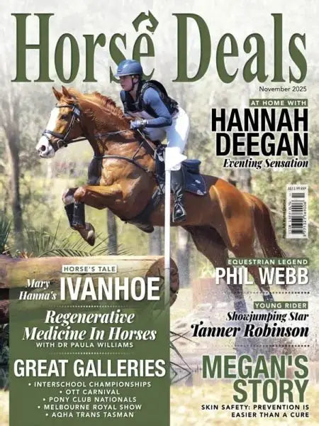 HORSE DEALS NOVEMBER 2025