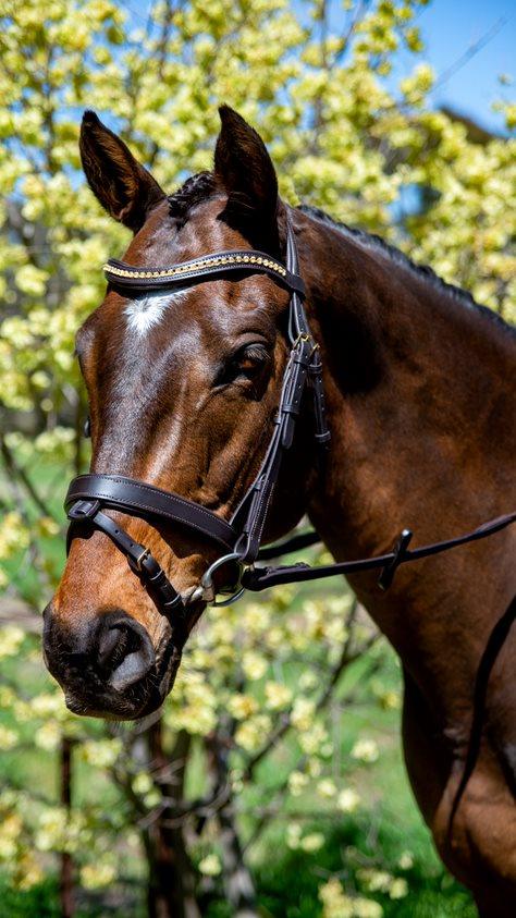 Flexible Fit - Topaz Wave Snaffle Bridle w Brass Buckles