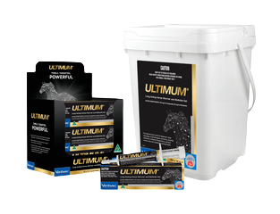Virbac Ultimum Gel 14.4gm