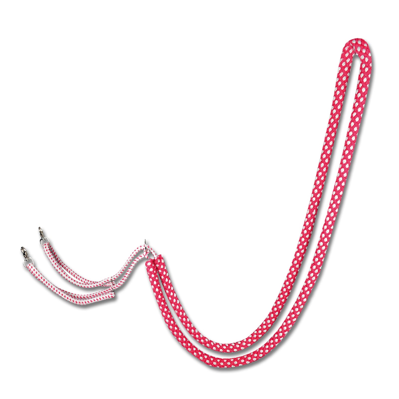 Waldhausen Lunging Aid