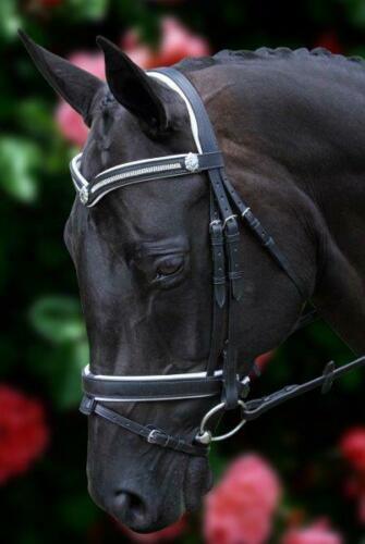 Flexible Fit - White Padded 3 Row crystal V with Shields Snaffle Bridle.