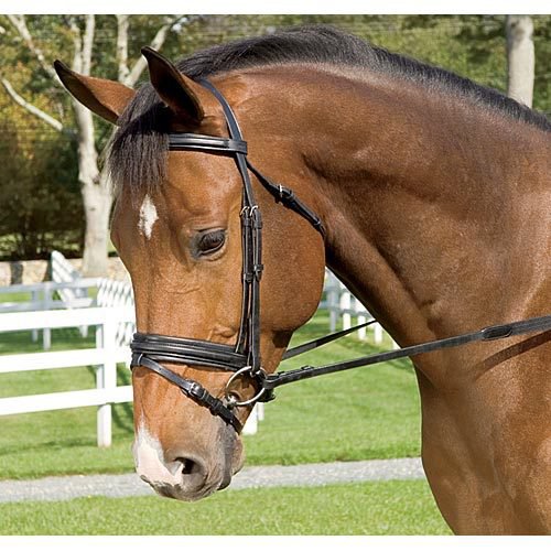 Anky Snaffle with Flash Strap