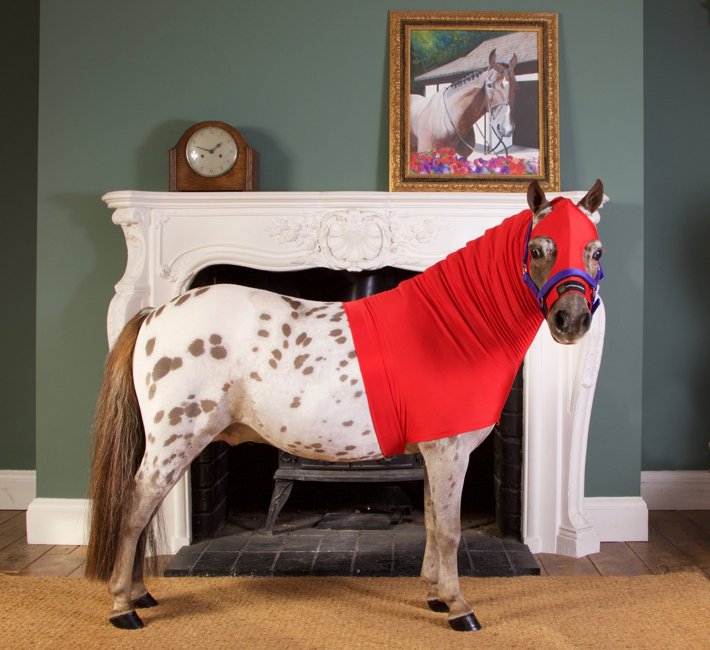Horze Hood Mini - No Ears.