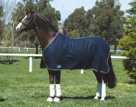 Edwards Saddleworld Toowoomba