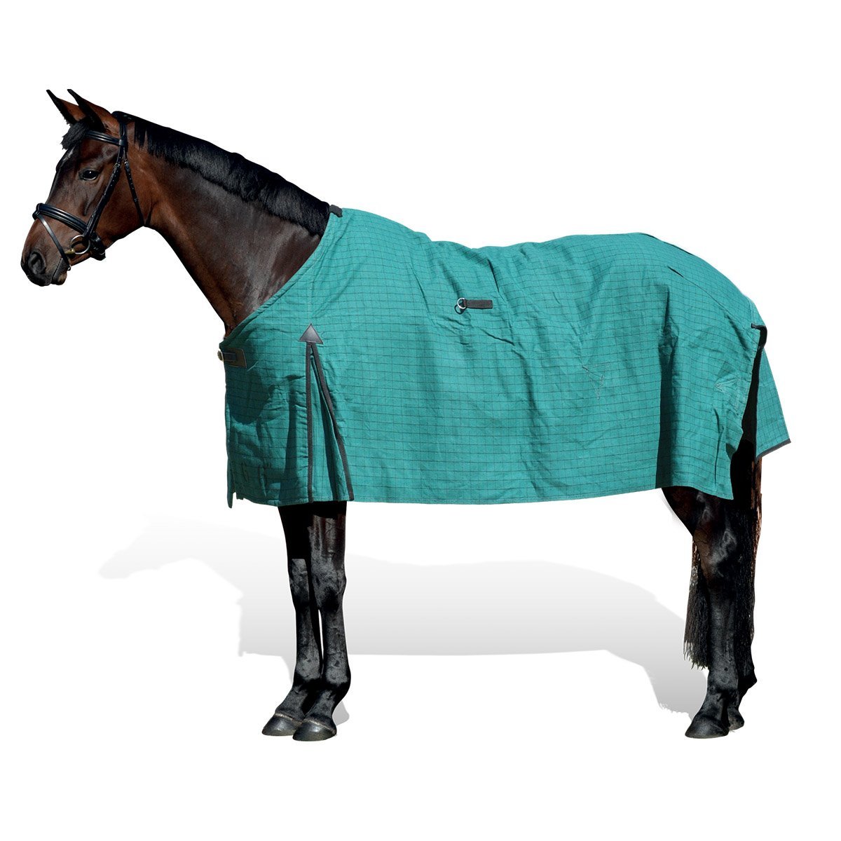 Rugs Edwards Saddleworld Toowoomba