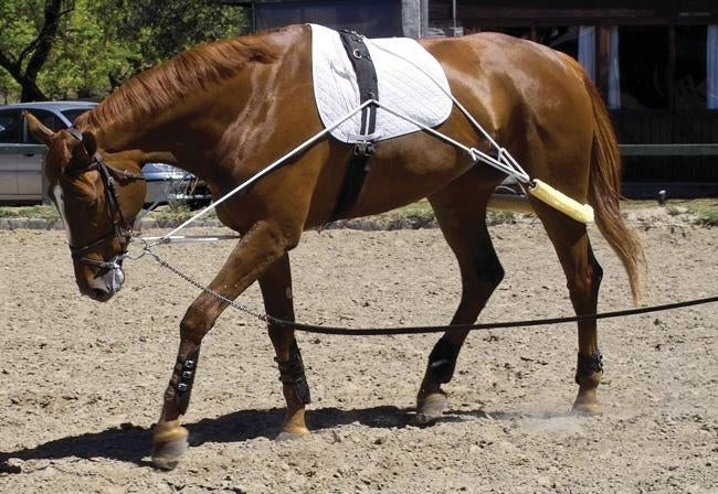 Pessoa Training System