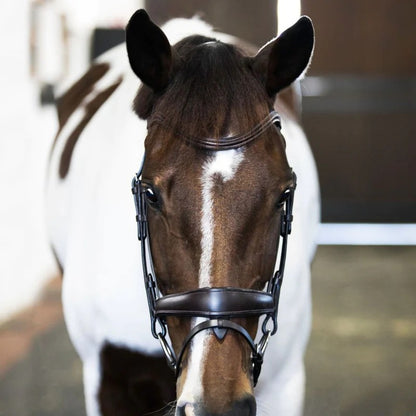 Lumiere Mikayla Bridle (Convertible)