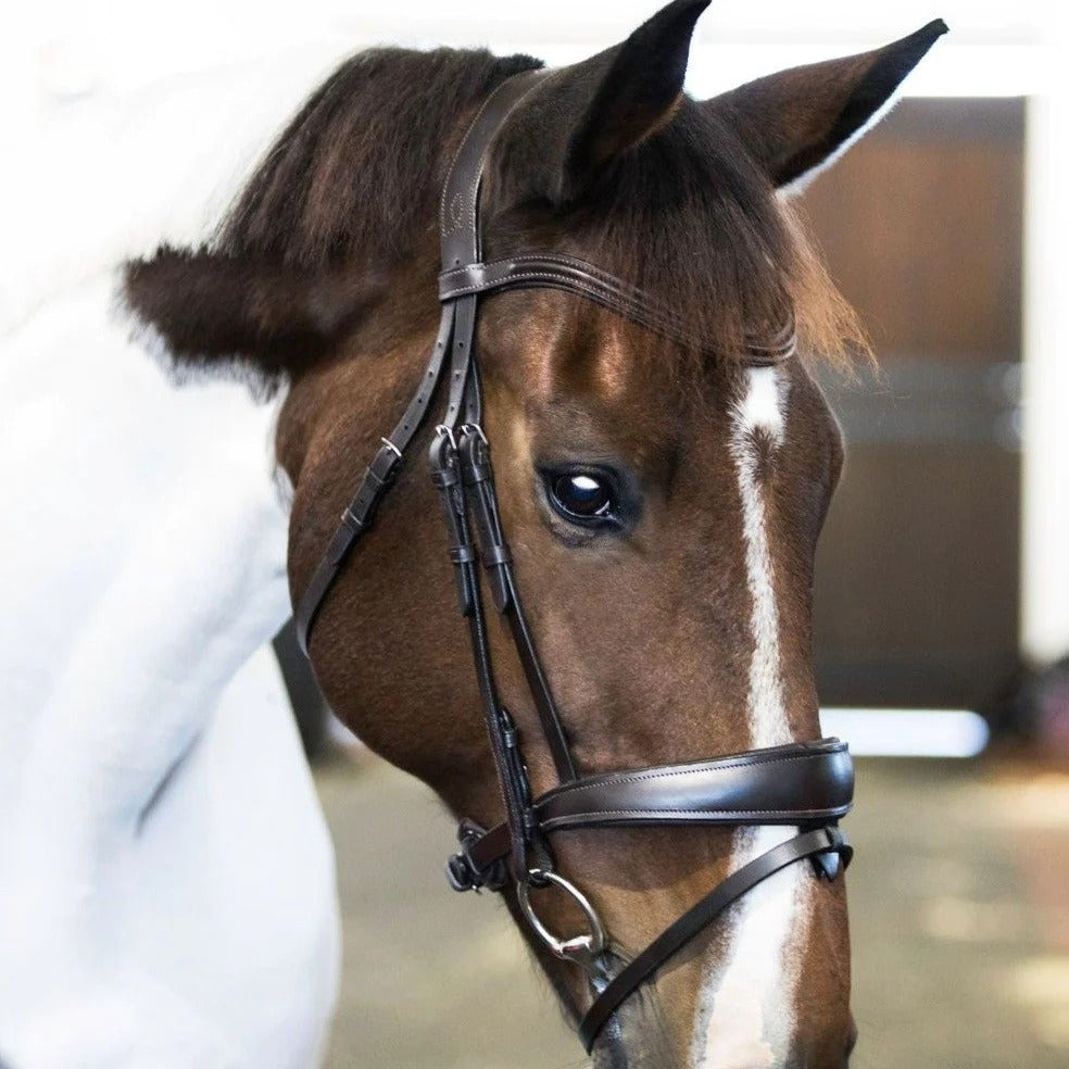 Lumiere Mikayla Bridle (Convertible)